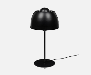 Additional offers from the brand Lambert eroeffnung_21.jpg